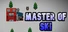 Master of Ski