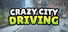 Crazy City Driving