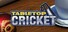 TableTop Cricket