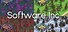 Software Inc.