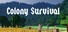 Colony Survival