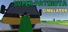 Super-Patriota Simulator