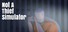 Not A Thief Simulator