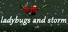 Ladybugs and Storm