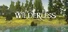Wilderless