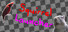 Squirrel Launcher
