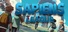 Sapiens League