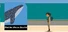 Find the Whales: Español