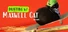 Drifting with Maxwell Cat: The Game