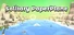 Solitary PaperPlane
