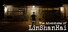 The Adventures of LinShanHai