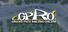 GPRO - Classic racing manager