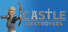Castle Destroyers