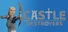 Castle Destroyers