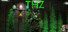 THZ