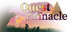 Quest for the Pinnacle