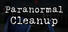 Paranormal Cleanup