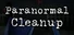 Paranormal Cleanup
