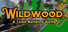 Wildwood: A Town Building Game