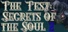 The Test: Secrets of the Soul 2