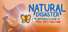 Natural Disaster: A Butterfly's Guide to Mass Destruction