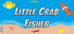 Little Crab Fisher