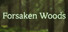 Forsaken Woods