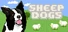 Sheepdogs