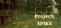 Project: Spike
