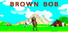 BROWN BOB