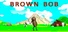 BROWN BOB