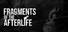 Fragments of the Afterlife