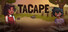 Tacape