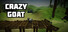 Crazy Goat
