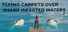 Flying Carpets Over Shark Infested Waters