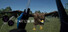 Start Link VR