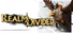 Realm Divided