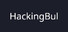 HackingBul