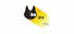 黑貓:逆光|Black Cat:Back Light