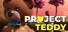 Project Teddy
