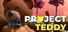 Project Teddy