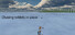 Chasing rabbits in snow