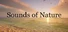 Sounds of Nature