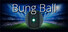 Bung Ball