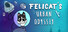 Felicat’s Urban Odyssey