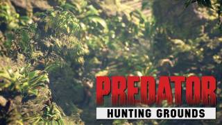 Анонсирован шутер с асимметричным мультиплеером Predator: Hunting Grounds 