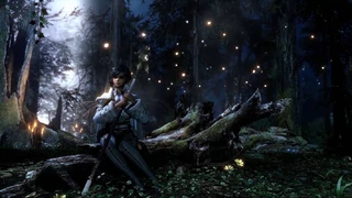 Подробности первого этапа ЗБТ западной версии Astellia