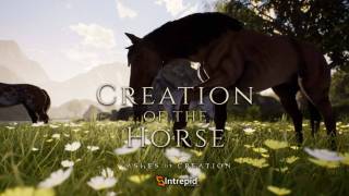 Конь бежит, земля дрожит — Демонстрация лошадей в Ashes of Creation
