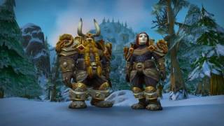 Пиратские серверы World of Warcraft начали терять игроков после выхода WoW Classic