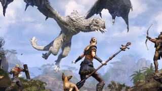 Убьёшь дракона — спасёшь кошку — авторы The Elder Scrolls Online запускают благотворительную акцию